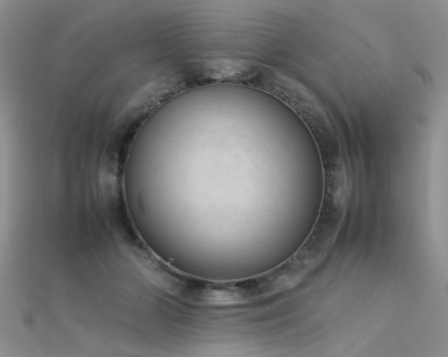 X0000112410510200908141403