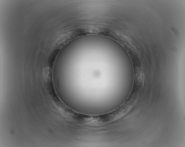 X0000112410511200908141403