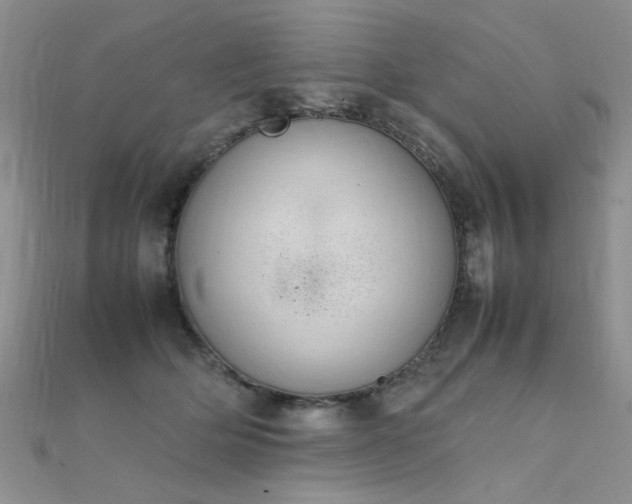 X0000112410514200908141403