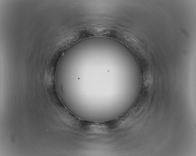 X0000112410515200908141403
