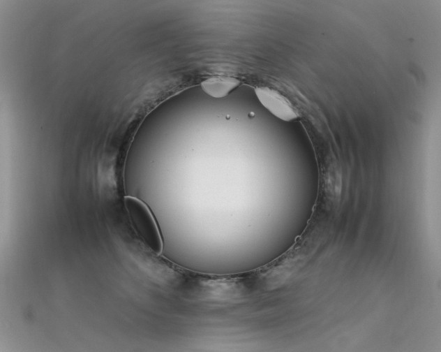 X0000112410516200908141403