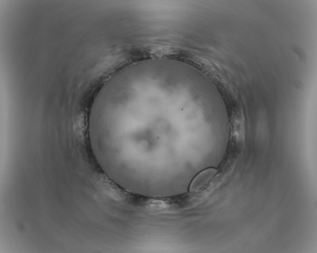 X0000112410519200908141403