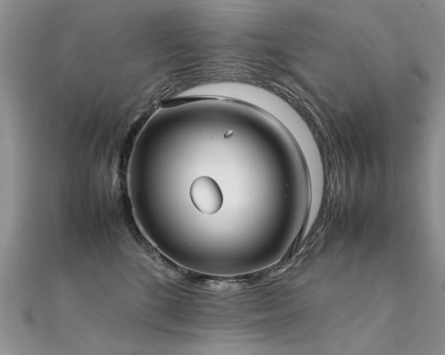 X0000112410520200908141403