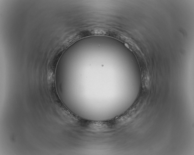 X0000112410521200908141403