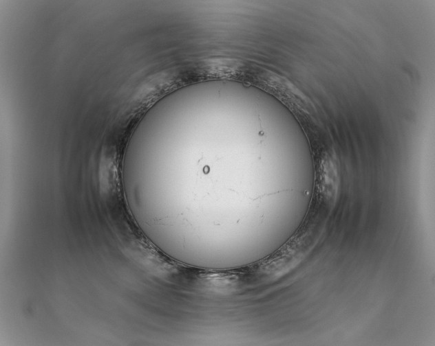 X0000112410522200908141403