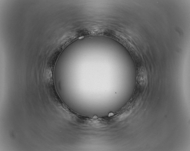 X0000112410523200908141403