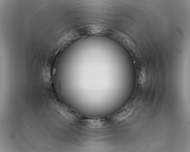 X0000112410524200908141403