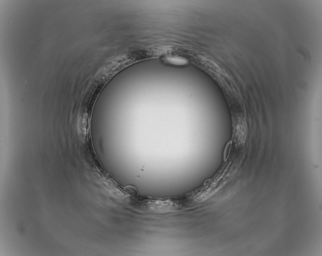X0000112410525200908141403