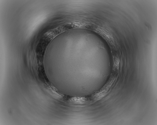 X0000112410526200908141403