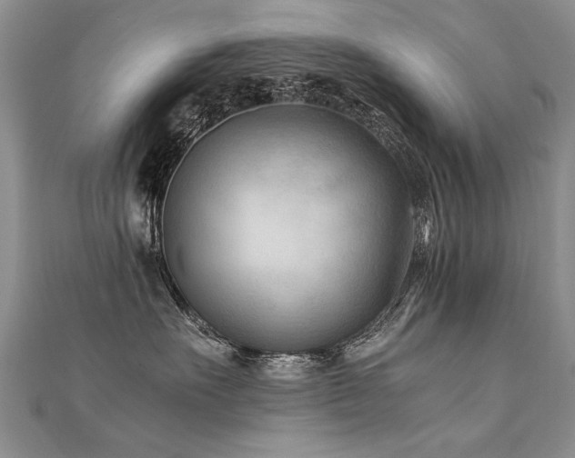 X0000112410527200908141403