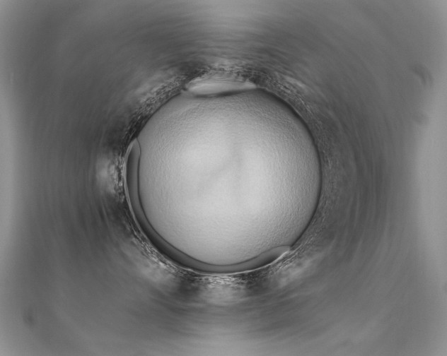 X0000112410528200908141403