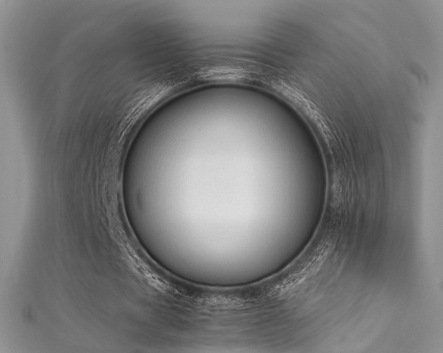 X0000112410529200908141403