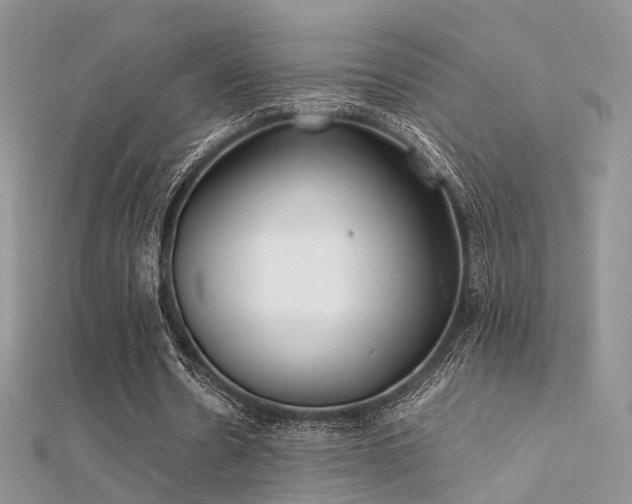 X0000112410530200908141403