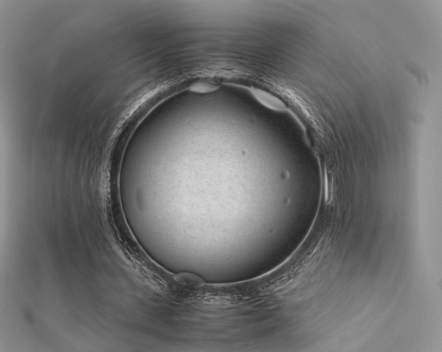X0000112410531200908141403