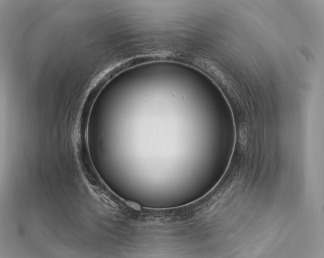 X0000112410532200908141403