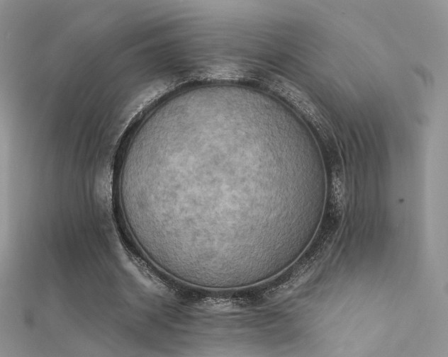 X0000112410534200908141403