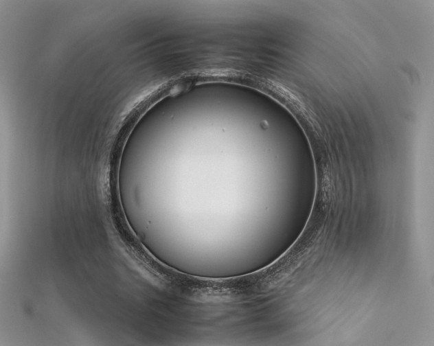 X0000112410535200908141403