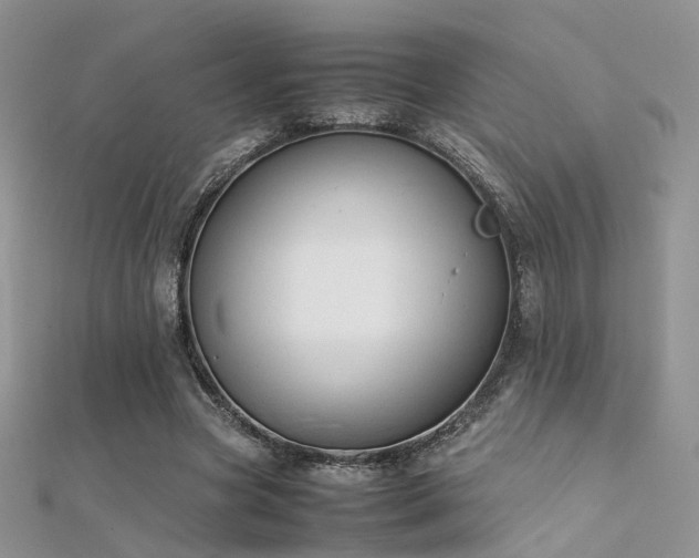 X0000112410537200908141403