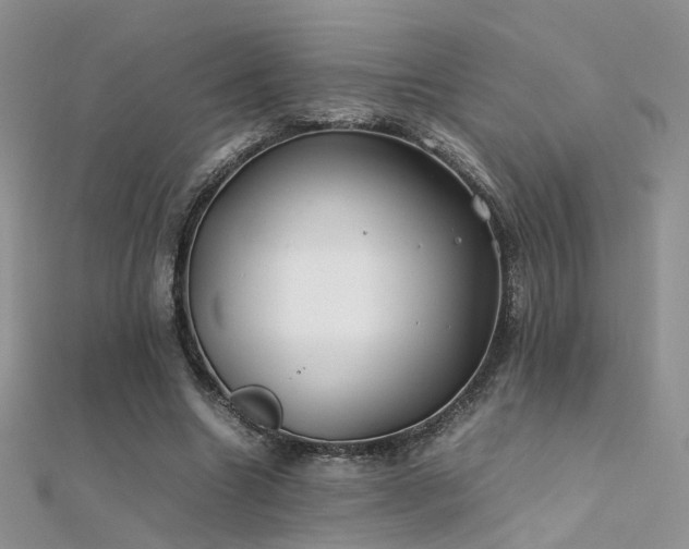 X0000112410538200908141403