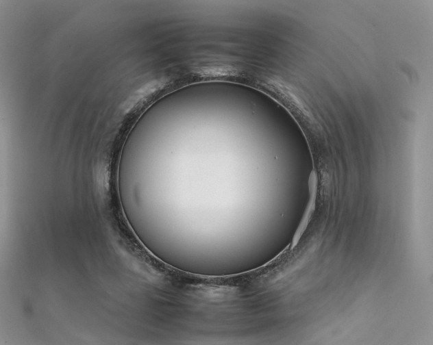 X0000112410539200908141403