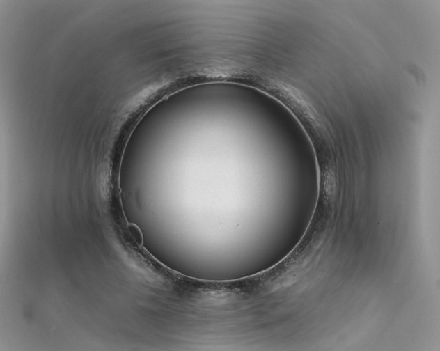 X0000112410540200908141403