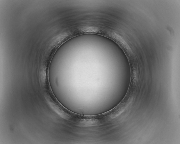 X0000112410541200908141403