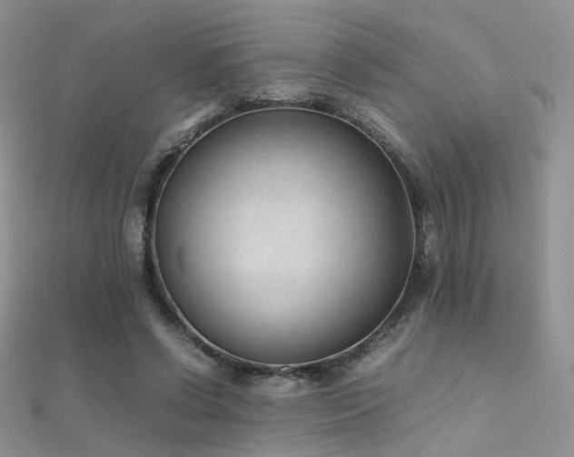 X0000112410542200908141403