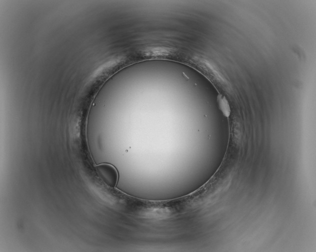 X0000112410543200908141403