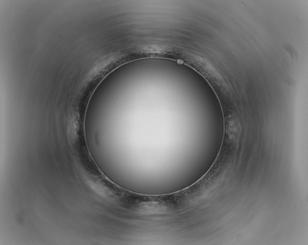 X0000112410544200908141403