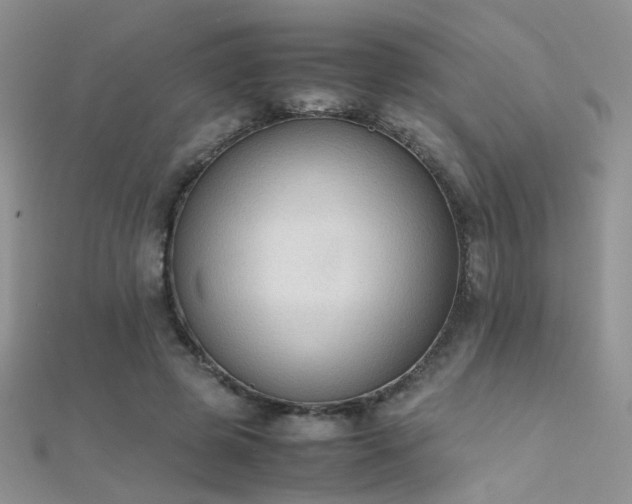 X0000112410545200908141403