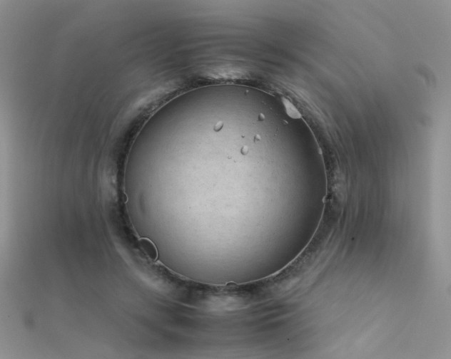 X0000112410547200908141403