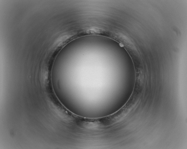 X0000112410548200908141403