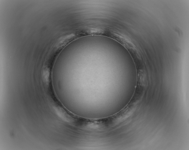 X0000112410550200908141403