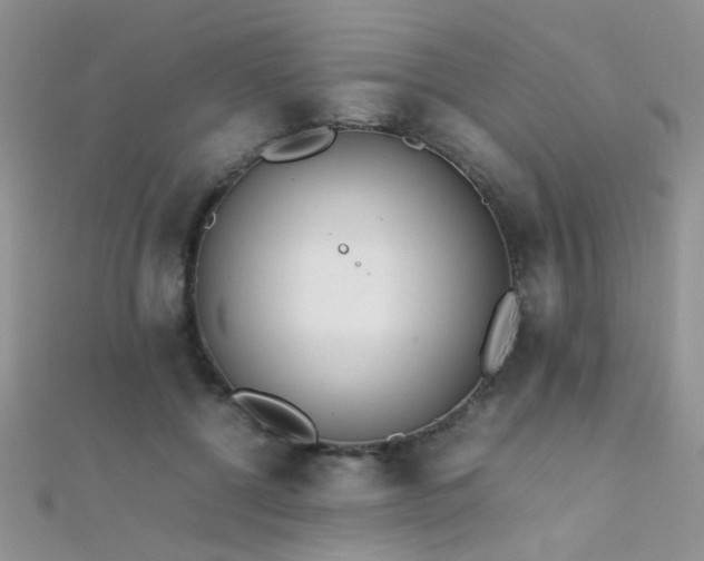 X0000112410552200908141403