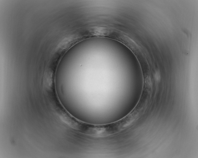 X0000112410554200908141403