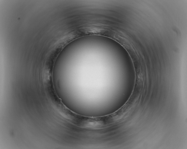 X0000112410555200908141403