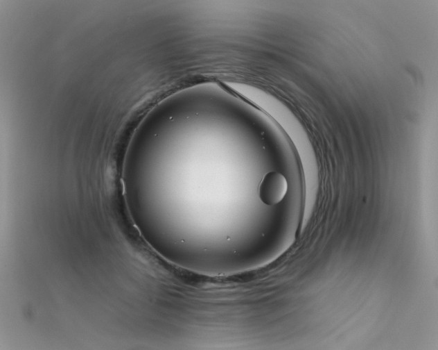 X0000112410556200908141403