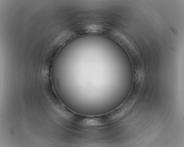 X0000112410557200908141403