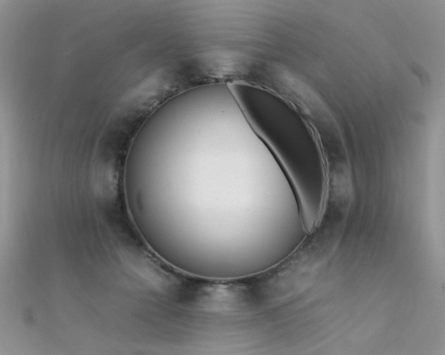 X0000112410558200908141403