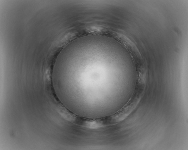 X0000112410561200908141403