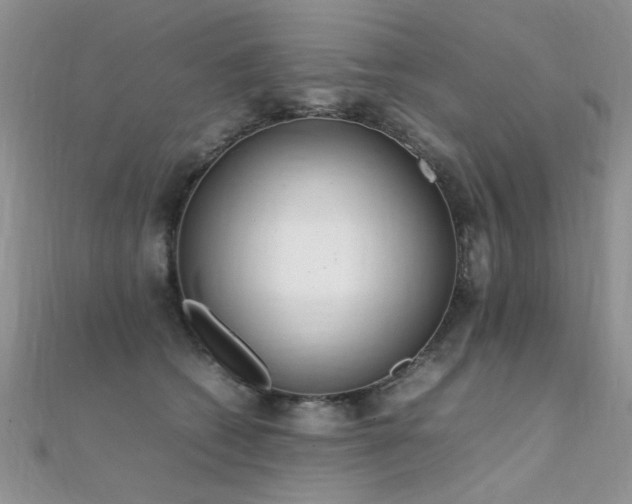X0000112410562200908141403