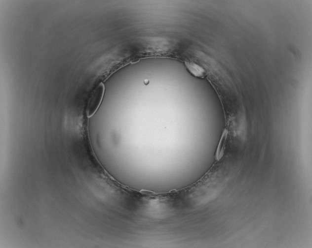 X0000112410564200908141403