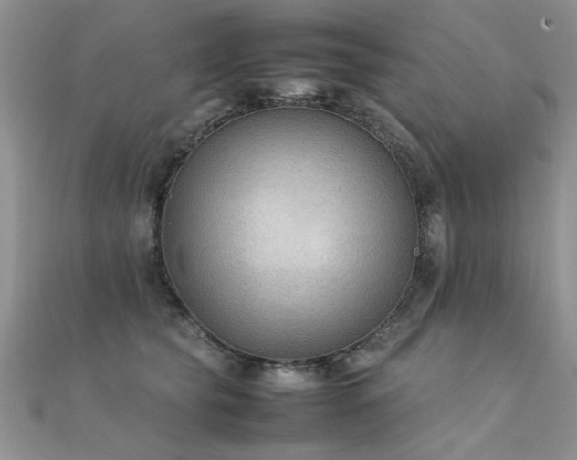 X0000112410565200908141403