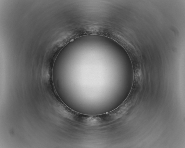 X0000112410566200908141403
