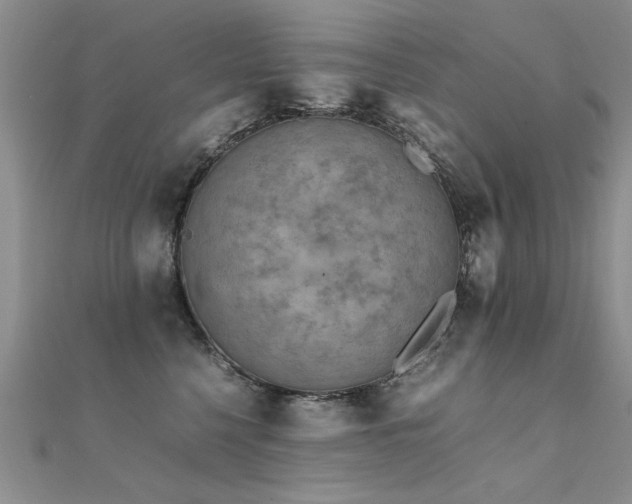 X0000112410568200908141403