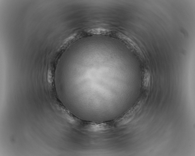 X0000112410569200908141403
