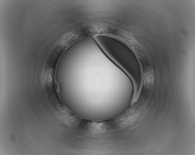 X0000112410570200908141403