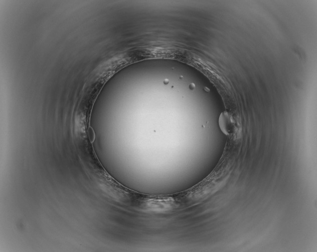 X0000112410571200908141403