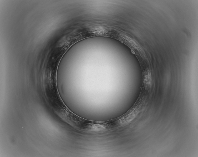 X0000112410572200908141403