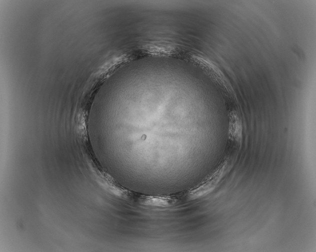 X0000112410573200908141403